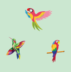 delete Nice Colorful Birds Vector set 