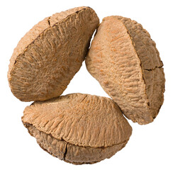 In-sell Brazil nut isolated on the white background, top view.