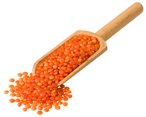 Uncooked red lentils in the wooden scoop, isolated on white background.