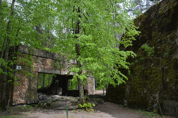remains of buildings, trees, the concrete town of bunkers Wolf's Lair in Gierłoż near Kętrzyn