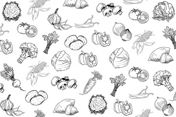 Various of vegetables seamless set on white background. Sketch of vegetables on white board. Line art of vegetables