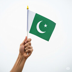 Hand Holding Small Pakistani Flag