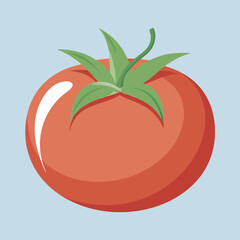 tomato vector 