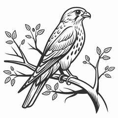 Obraz premium bird vector image