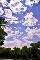 Lush green trees frame a vast expanse of a vibrant summer sky filled with fluffy white clouds.