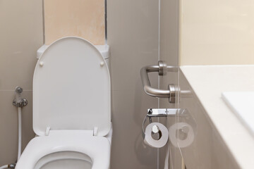 Toilet safety bar or handrail in toilet.