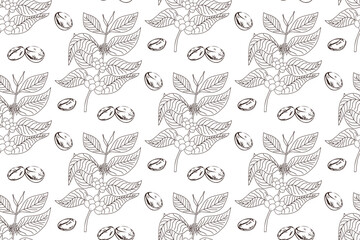 Vector illustration of coffee and branches, flowers and fruits. Seamless pattern of coffee plant branches