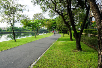 Fresh green lawns in the park. Blur nature bokeh green park trees in morning.