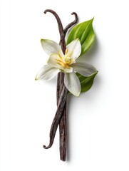 Beautiful vanilla flower and pods arranged with green leaves on a white background, showcasing natural elegance and flavor