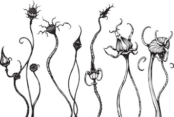 Set of plants and flowers. Hand drawn vector illustration