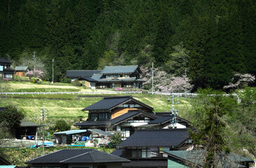 春の日本の田舎の農家の家と自然の風景