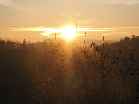 Sonnenaufgang &uuml;ber den Alpen