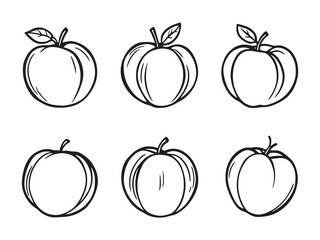Simple Peaches Line Illustrations