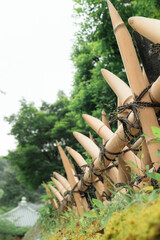 A fence made of sharp bamboo