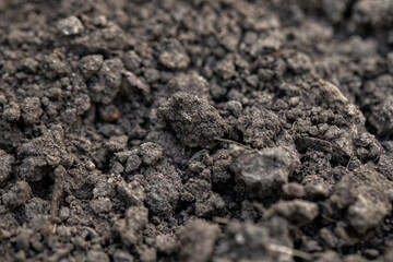 Close-up of dark, rich soil texture, ideal for gardening and farming.