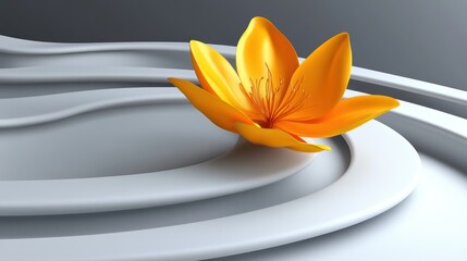 Orange flower on a modern geometric background.