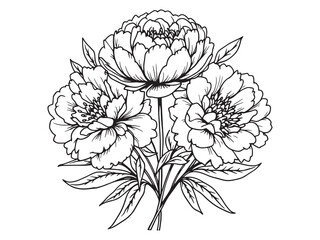 Peony Floral Vector Icons