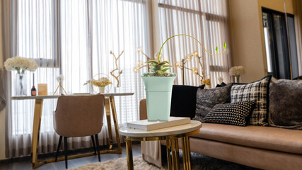 Decorative succulent plant in a white pot placed on a stylish coffee table in a cozy, modern living room with elegant decor, natural lighting, and warm tones for a peaceful interior ambiance.