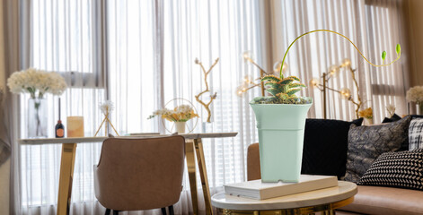 Decorative succulent plant in a white pot placed on a stylish coffee table in a cozy, modern living room with elegant decor, natural lighting, and warm tones for a peaceful interior ambiance.