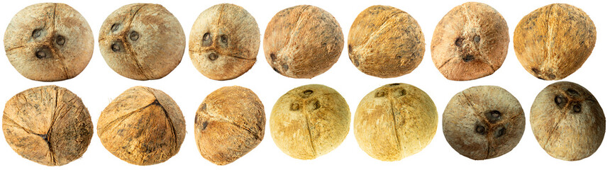 Set of dried whole coconuts isolated on white background, showing various angles and textures. Natural, tropical, and rustic look ideal for culinary, agricultural, or packaging themes.