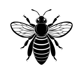 Vintage bee vector illustration black and white engraving style