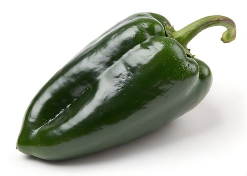 Whole poblano pepper isolated on clean bright white background