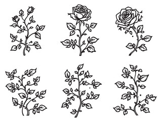 rose vines simple line art clear vision