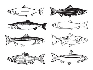 salmon simple line art clear vision