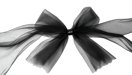 Elegant black and white ribbon bow