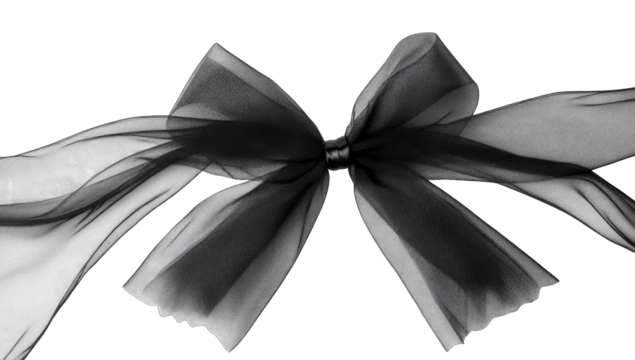 Elegant black and white ribbon bow