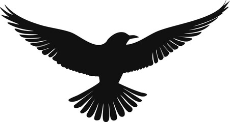 eagle in flight