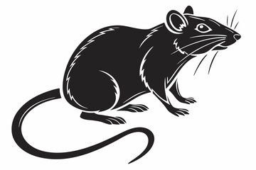 rat sihouette black vector