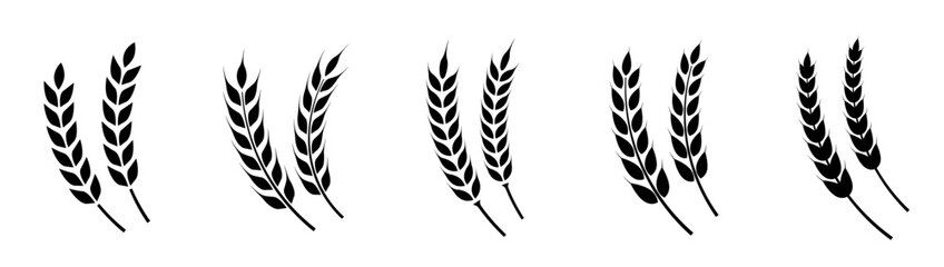 Wheat ears icon set. Wheat logo. Grain spikes set icons.Grain icon. Agriculture symbol. vector illustration