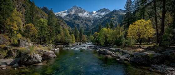 beautiful nature landscape river or stream flow in mountain valley with green forest and mountain around