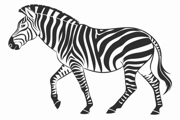 Fototapeta premium zebra silhoette black vector