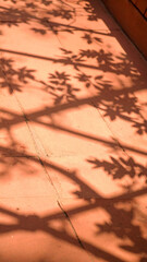 Shadows of Foliage Cast on Warm Orange Tiles Create a Tranquil Atmosphere During the Afternoon Hours