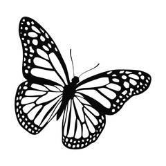 Butterfly Silhouette Vector Illustration  Design