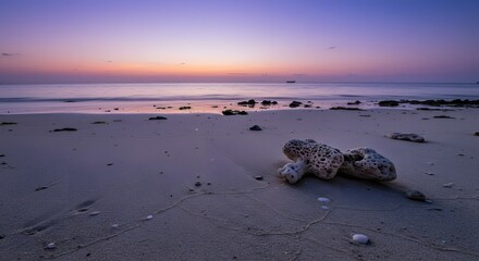 Professional Grade Seascape of Pulau Tikus Bengkulu at Dawn with Volcanic Rock and Coral Sand Texture