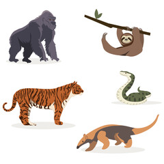 Hand-drawn Jungle Animals in flat vector style on white. Perfect for designers and educators.