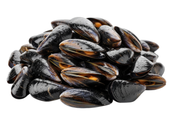 tas de moules crues