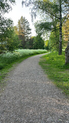 path in the park