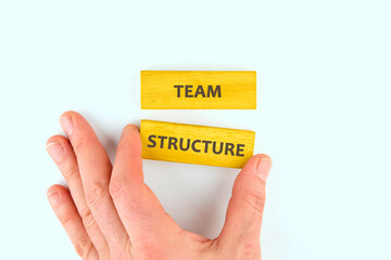 The TEAM STRUCTURE concept phrase. Onboarding business process concept