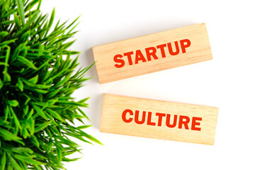 The STARTUP CULTURE concept phrase. Inspiration Motivation Creative Innovation Graphic Concept