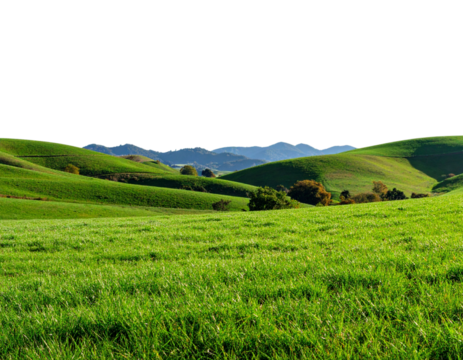 Serene Grassland Landscape with Hills  Transparent Background