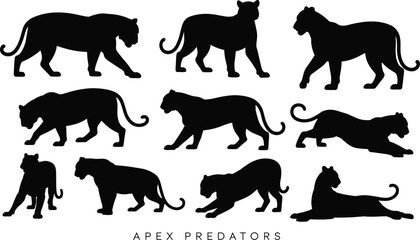 Apex Predator Silhouettes: Dynamic Tiger and Leopard Shapes for Design Projects