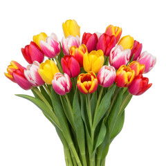 Vibrant bouquet of red yellow and white tulips isolated on transparent background