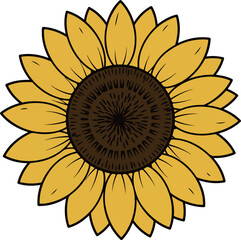 Fototapeta premium 해바라기 