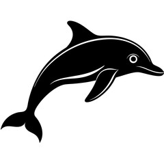 Fototapeta premium dolphin isolated on white background