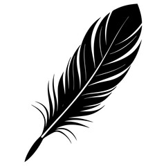 Fototapeta premium feather.svg