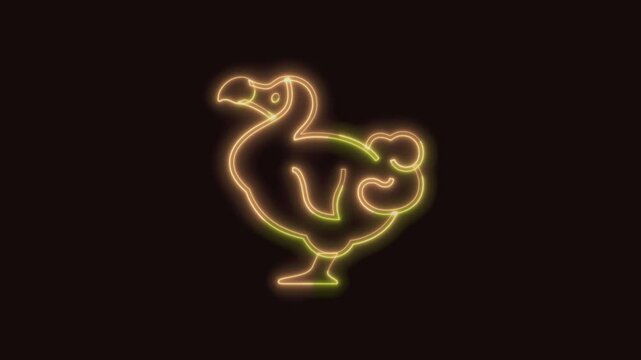 Dodo Animal Icon Neon Seamless Loop 4K (Black Background) | Animated Promotional Typography for Video Editing